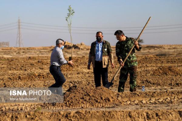 عملیات 2 هزار هکتاری بیابان زدایی در خوزستان اجرا می گردد