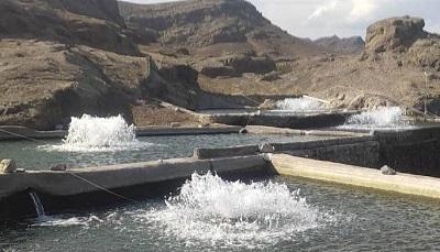 فراوری آبزیان با آب کارگاه های ماسه شویی در استان آذربایجان شرقی
